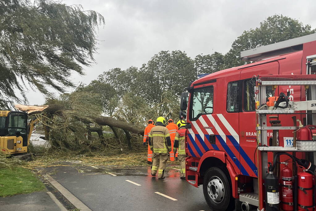 Grote boom val over weg