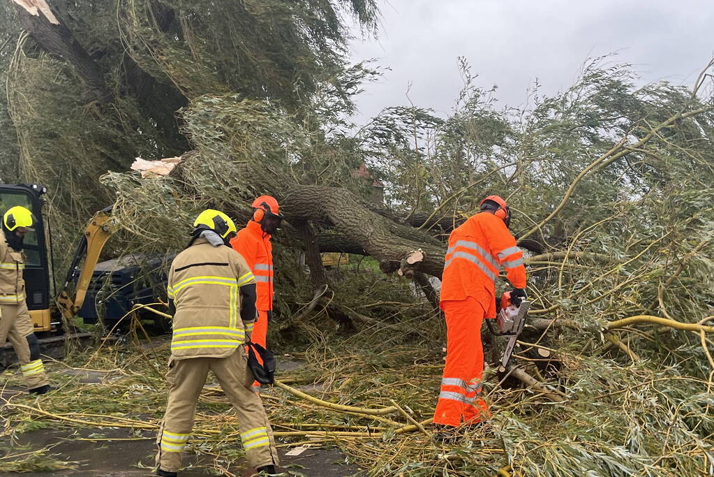 Grote boom val over weg