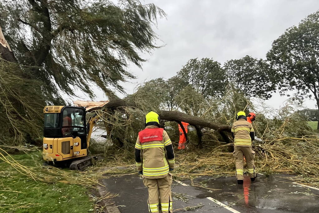 Grote boom val over weg