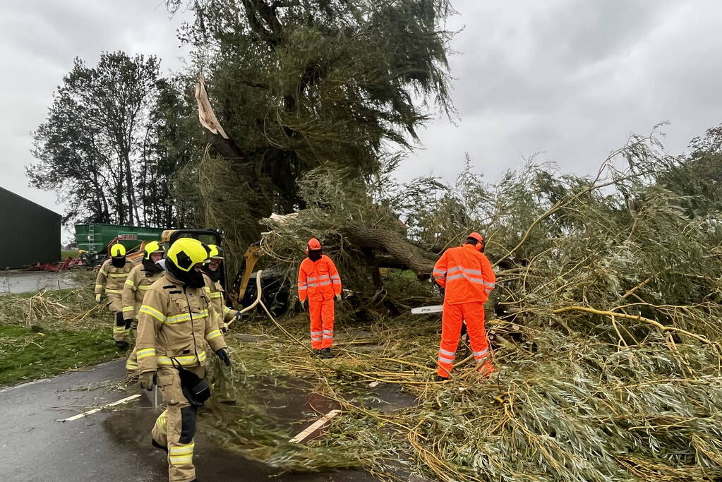 Grote boom val over weg