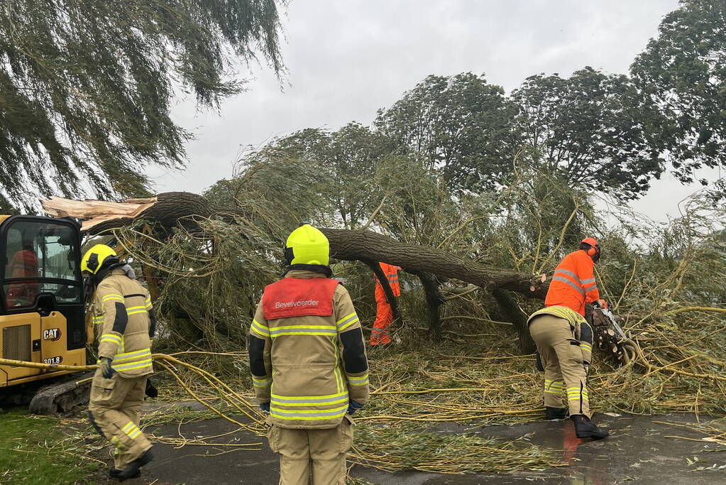 Grote boom val over weg