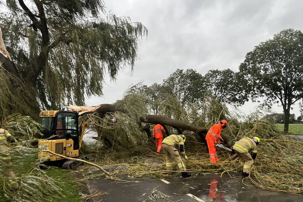 Grote boom val over weg