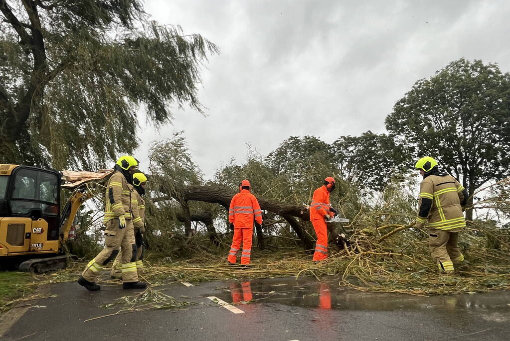 Grote boom val over weg