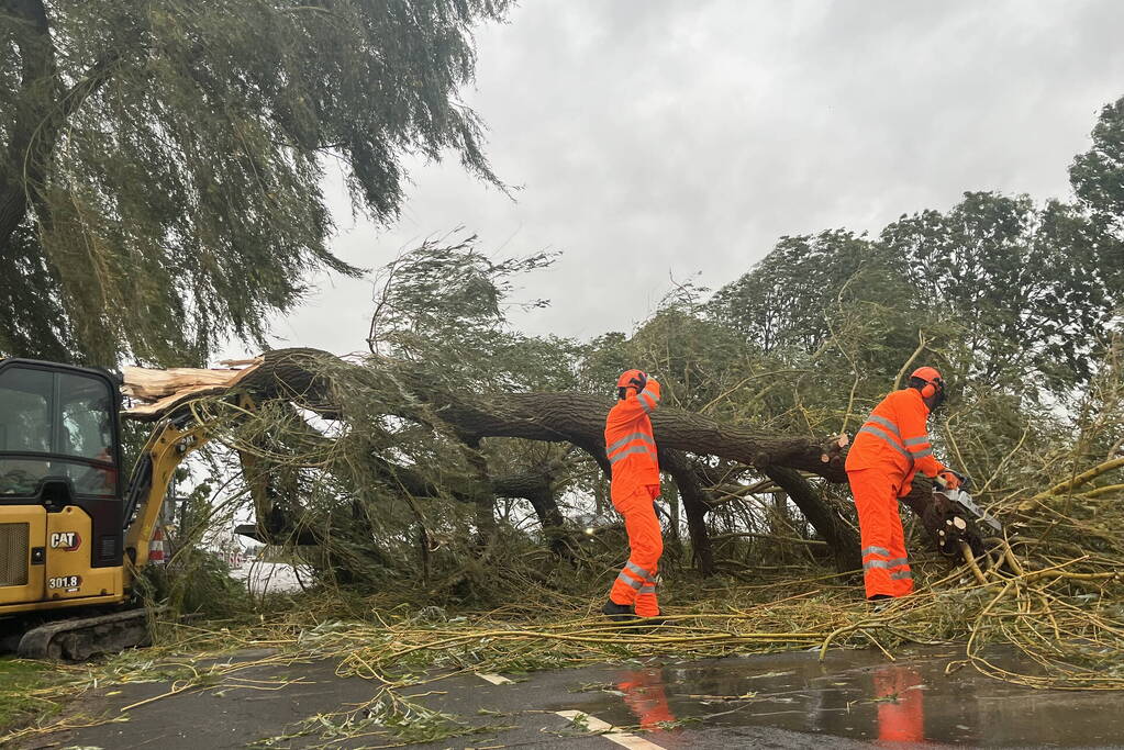 Grote boom val over weg