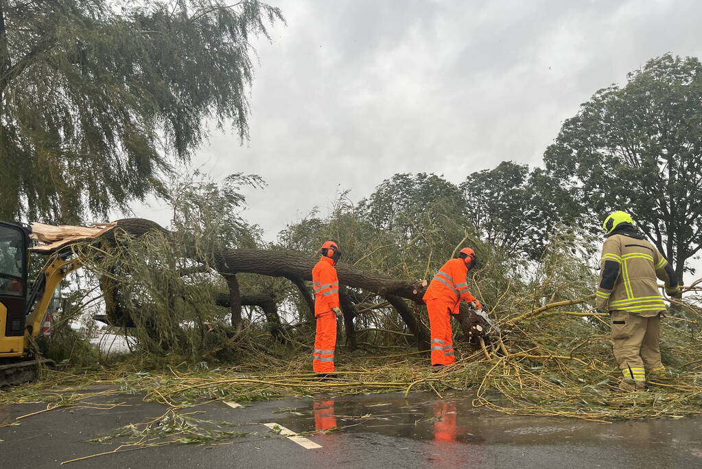 Grote boom val over weg