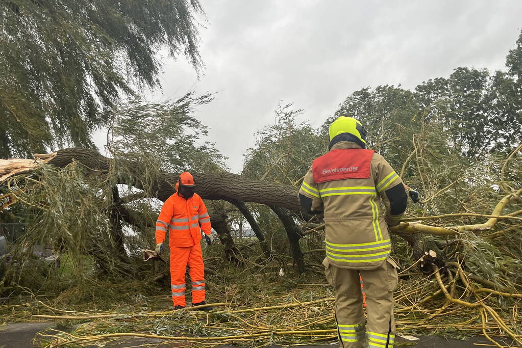 Grote boom val over weg