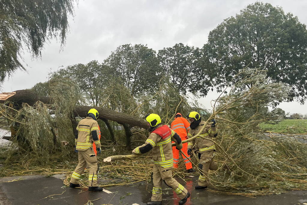 Grote boom val over weg