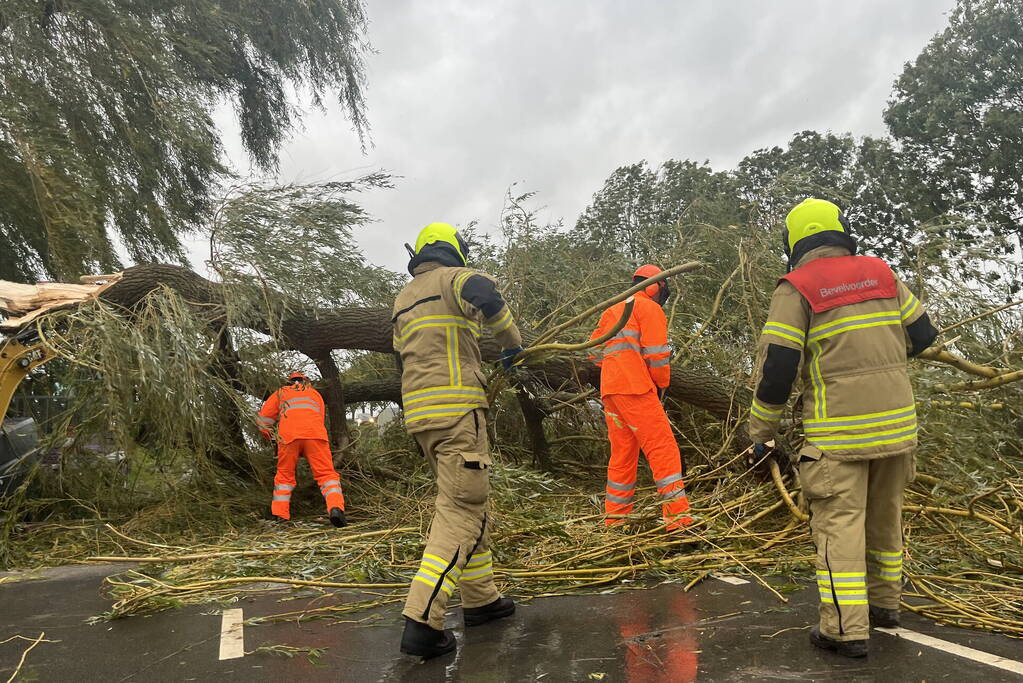 Grote boom val over weg