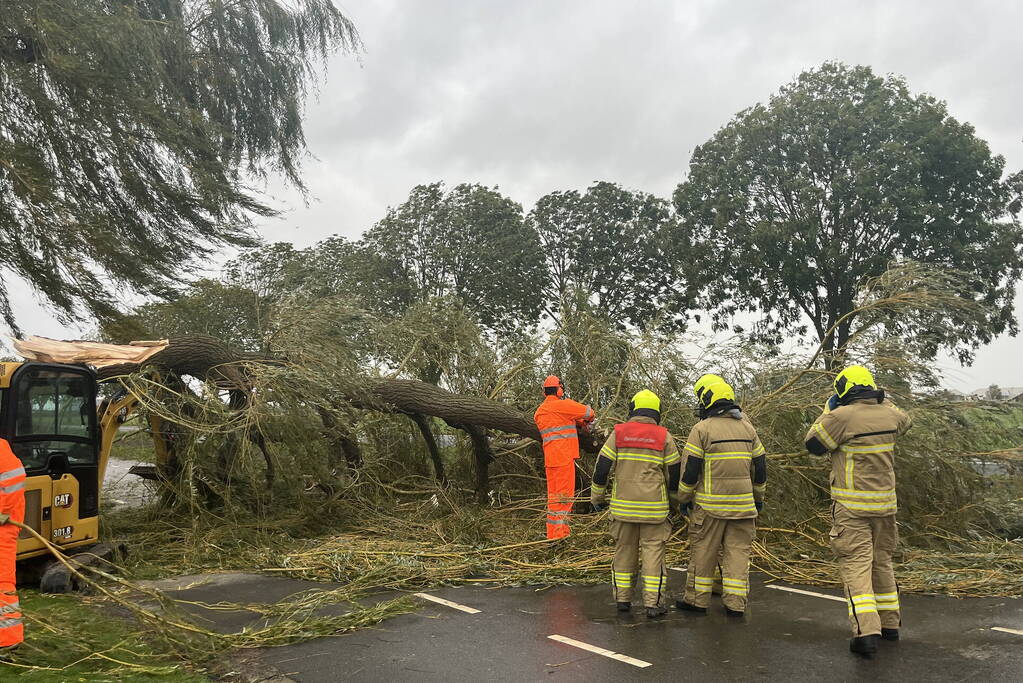 Grote boom val over weg