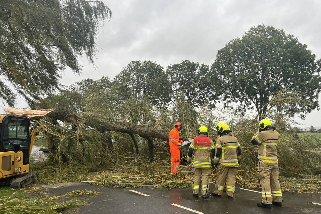 Grote boom val over weg