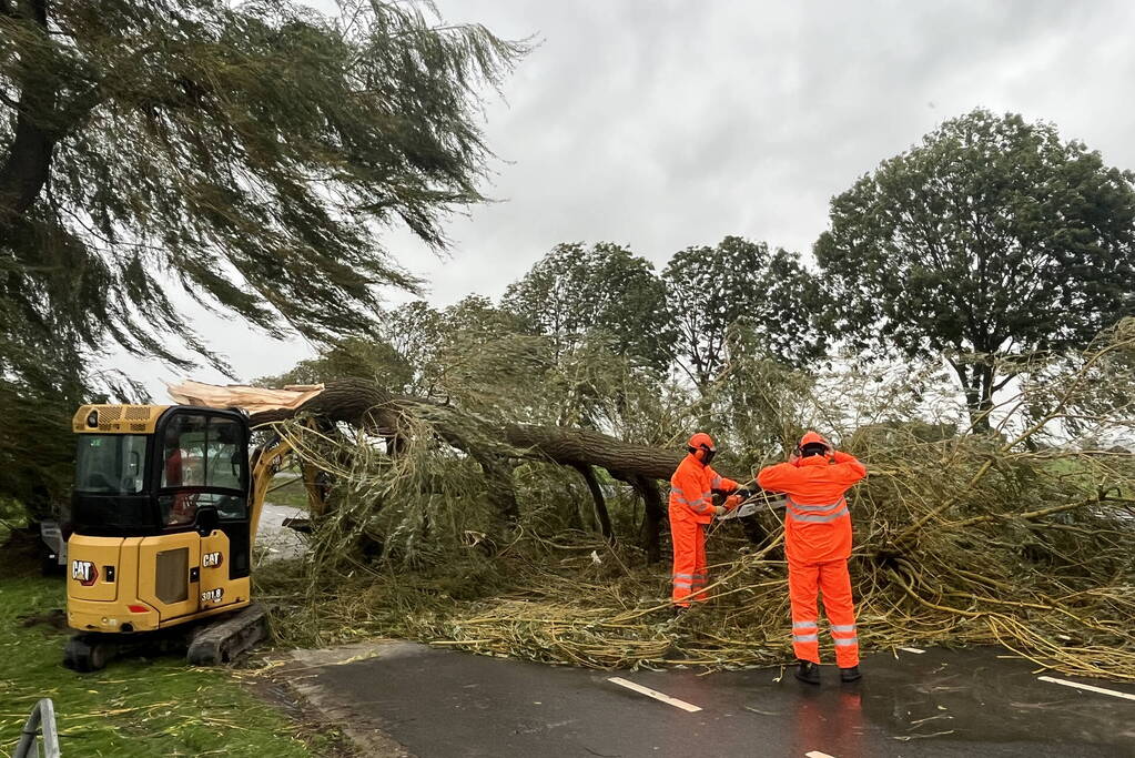 Grote boom val over weg