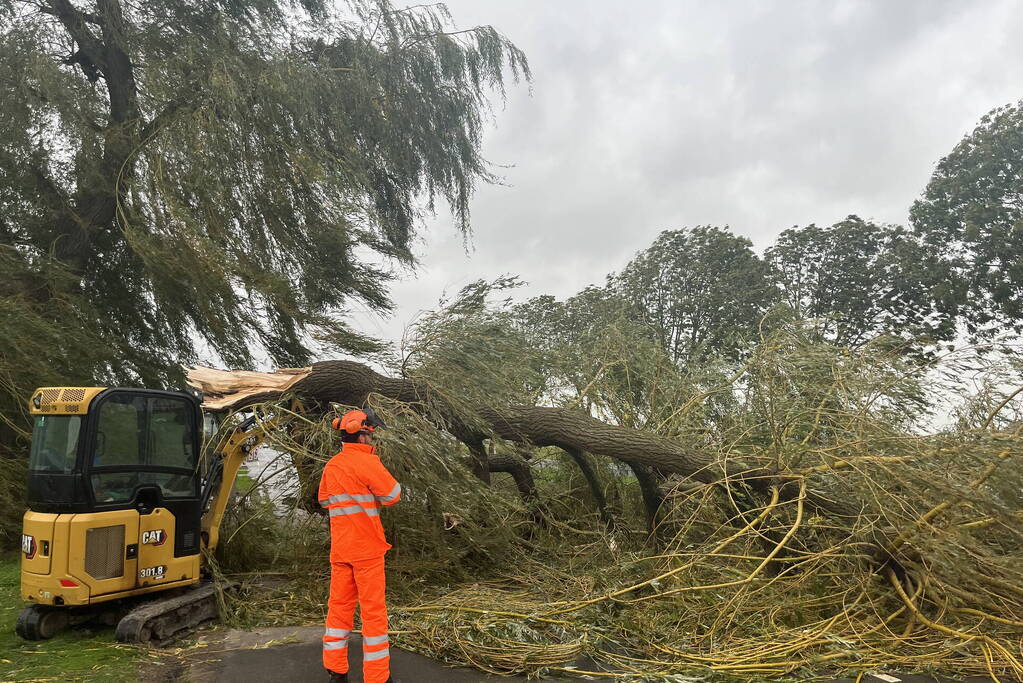 Grote boom val over weg