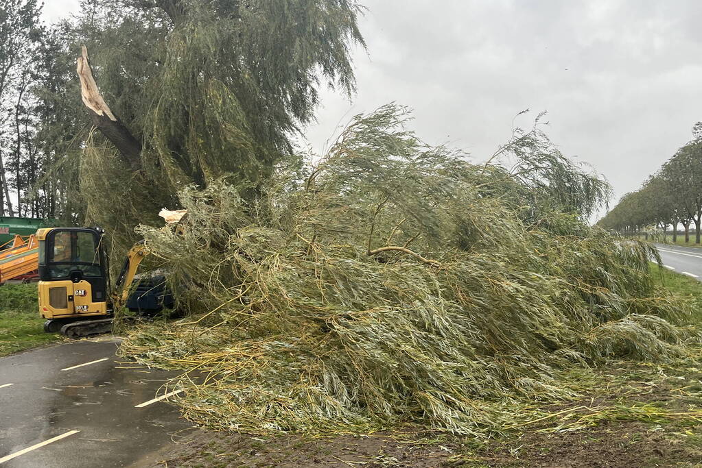 Grote boom val over weg