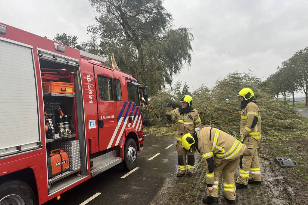 Grote boom val over weg