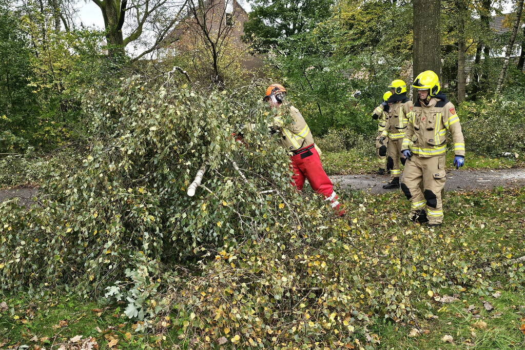 Meerdere omgevallen bomen versperren fietspad