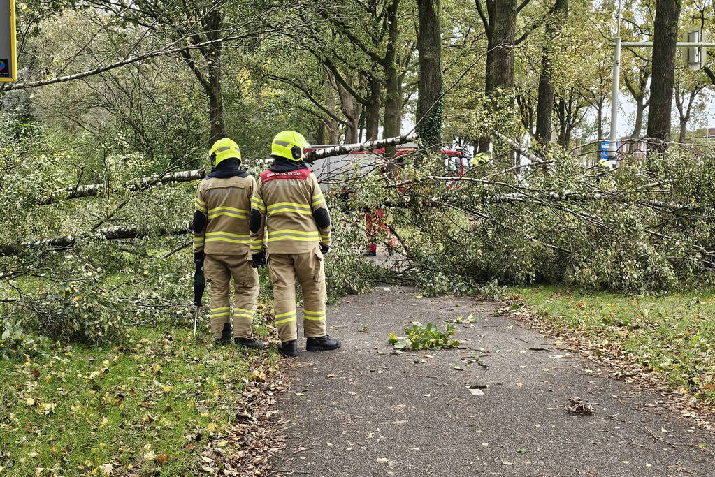 Meerdere omgevallen bomen versperren fietspad