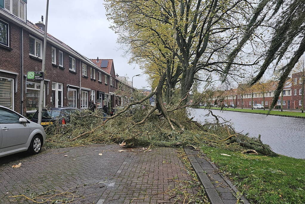 Grote tak valt uit boom auto beschadigd