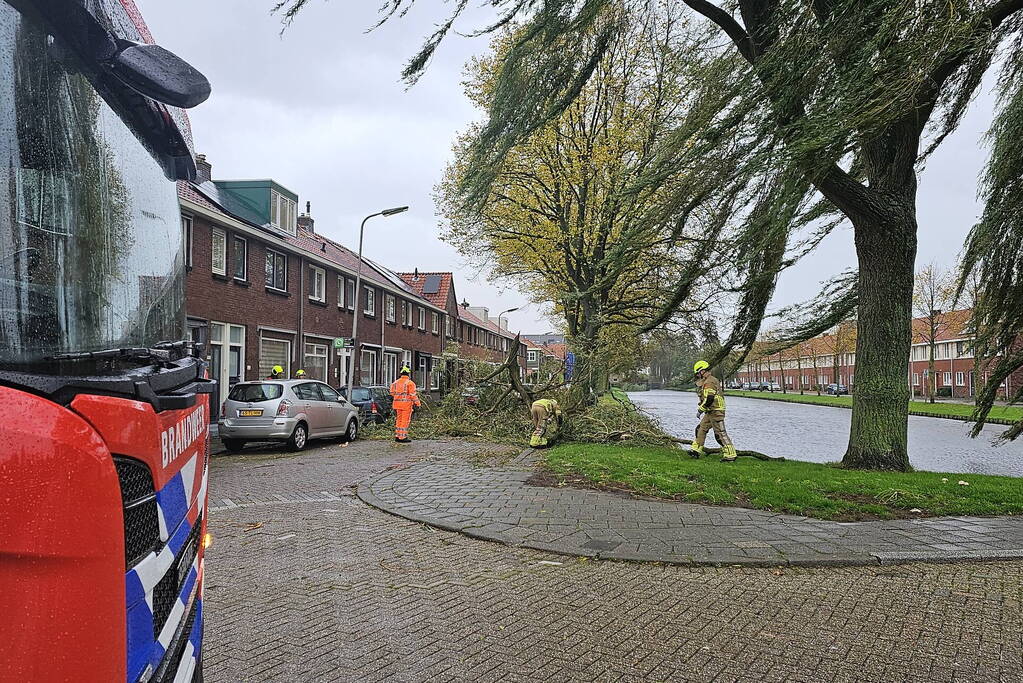 Grote tak valt uit boom auto beschadigd