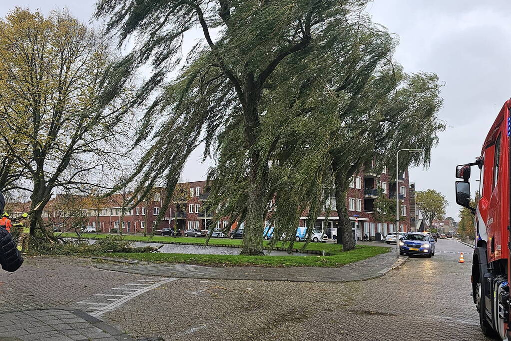 Grote tak valt uit boom auto beschadigd