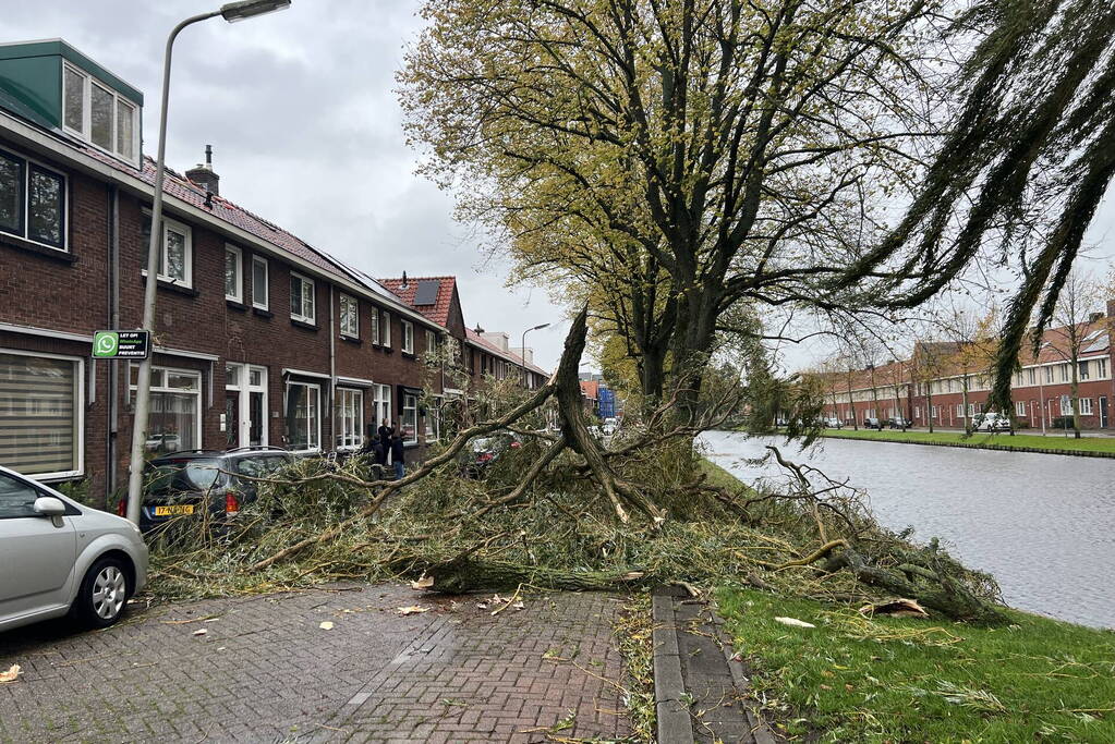 Grote tak valt uit boom auto beschadigd