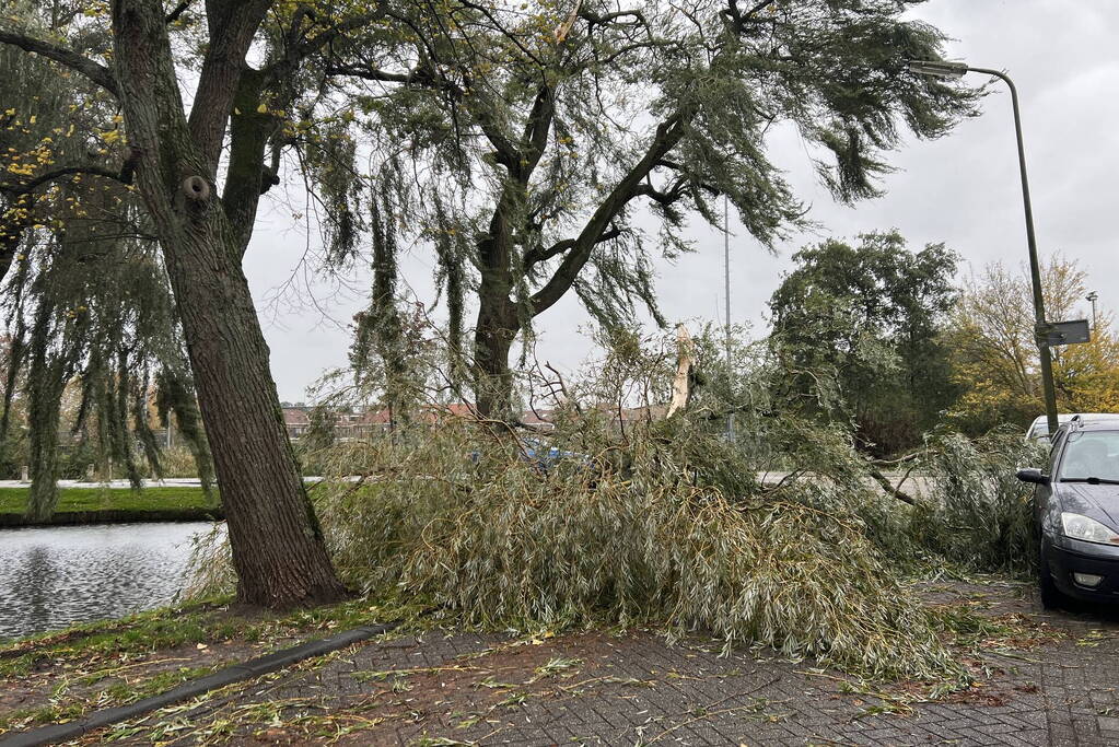 Grote tak valt uit boom auto beschadigd