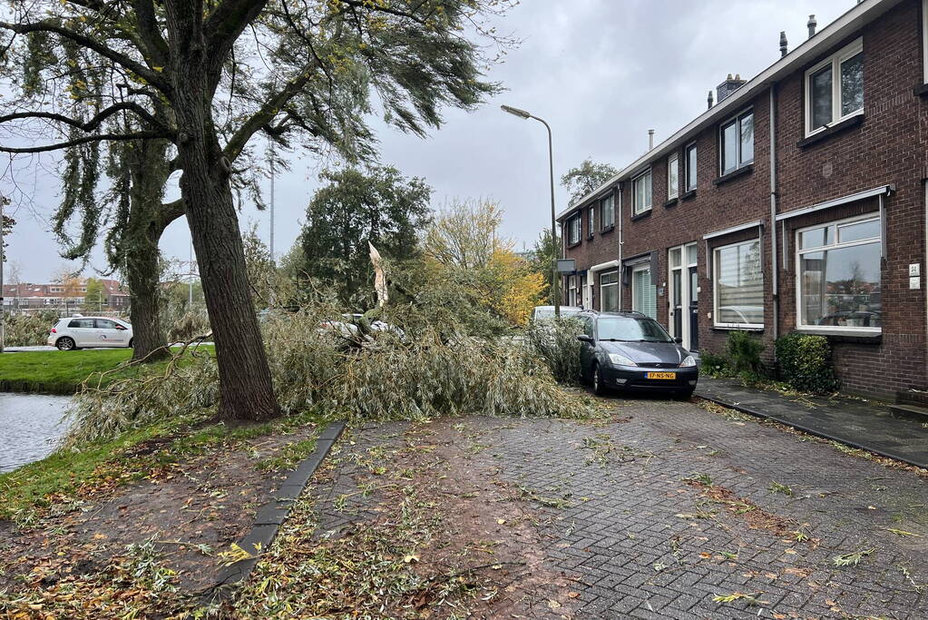 Grote tak valt uit boom auto beschadigd