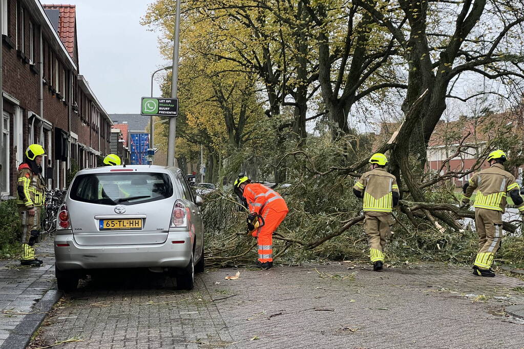 Grote tak valt uit boom auto beschadigd