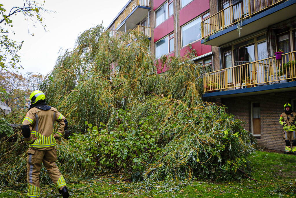 Grote boom omgevallen tegen flat