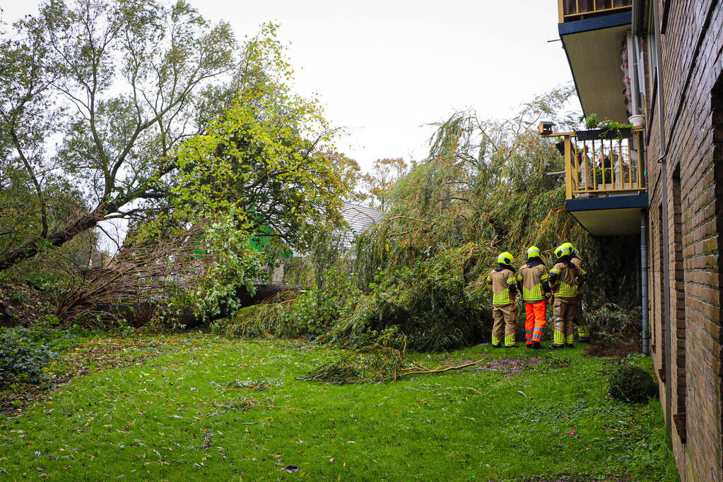 Grote boom omgevallen tegen flat