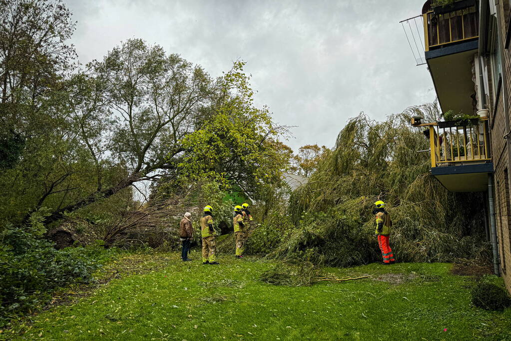 Grote boom omgevallen tegen flat