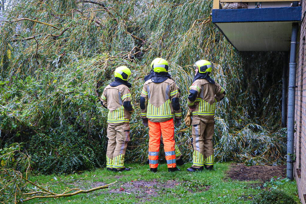 Grote boom omgevallen tegen flat