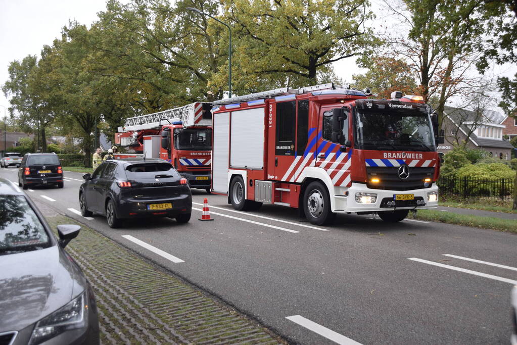 Autoladder ingezet voor gevaarlijk hangende tak