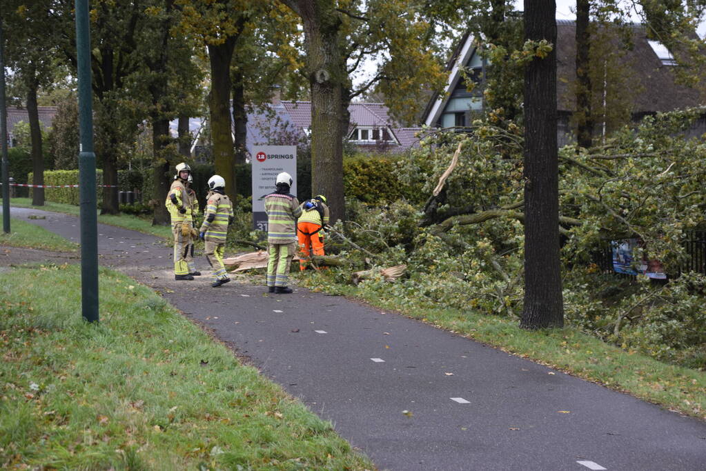 Autoladder ingezet voor gevaarlijk hangende tak