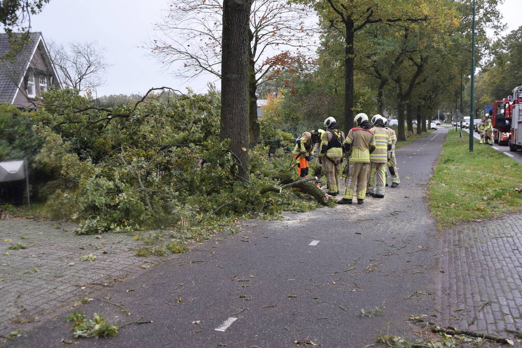 Autoladder ingezet voor gevaarlijk hangende tak