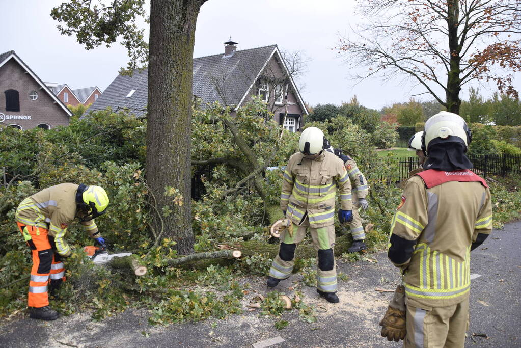 Autoladder ingezet voor gevaarlijk hangende tak