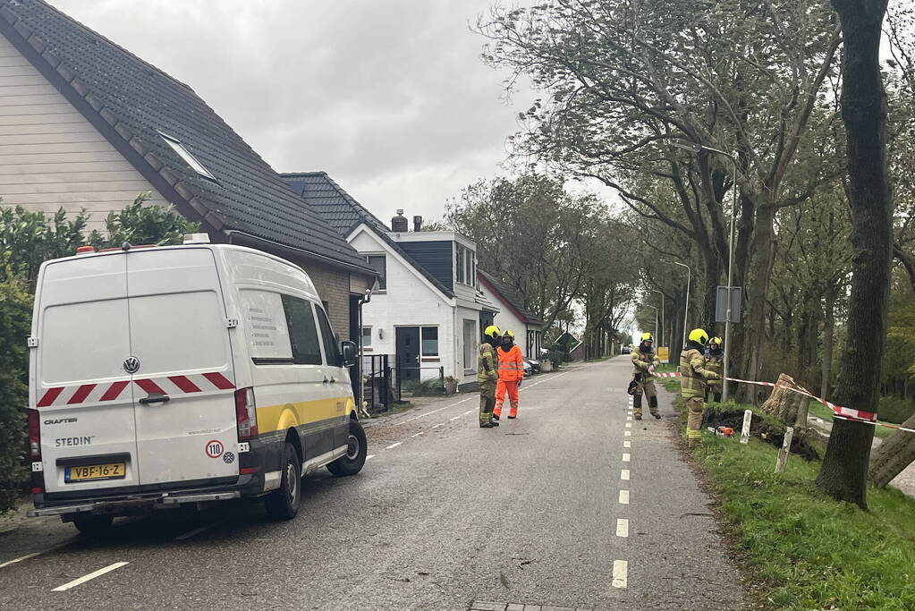 Gasleiding geraakt door omgevallen boom