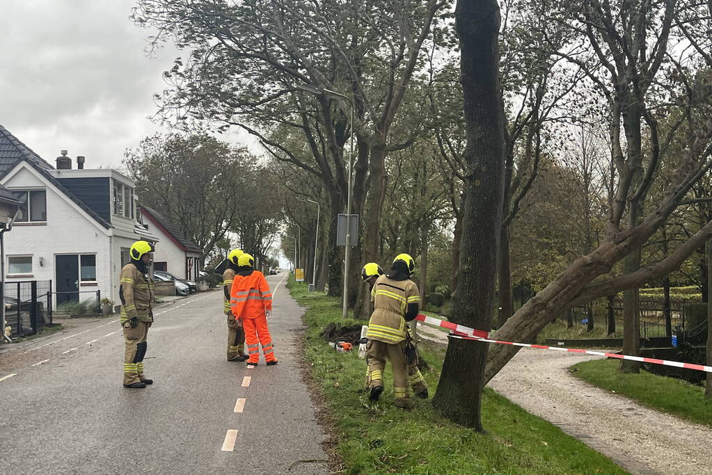 Gasleiding geraakt door omgevallen boom