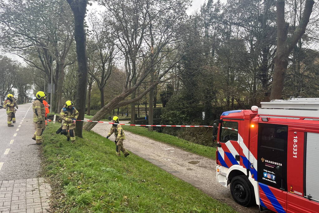 Gasleiding geraakt door omgevallen boom