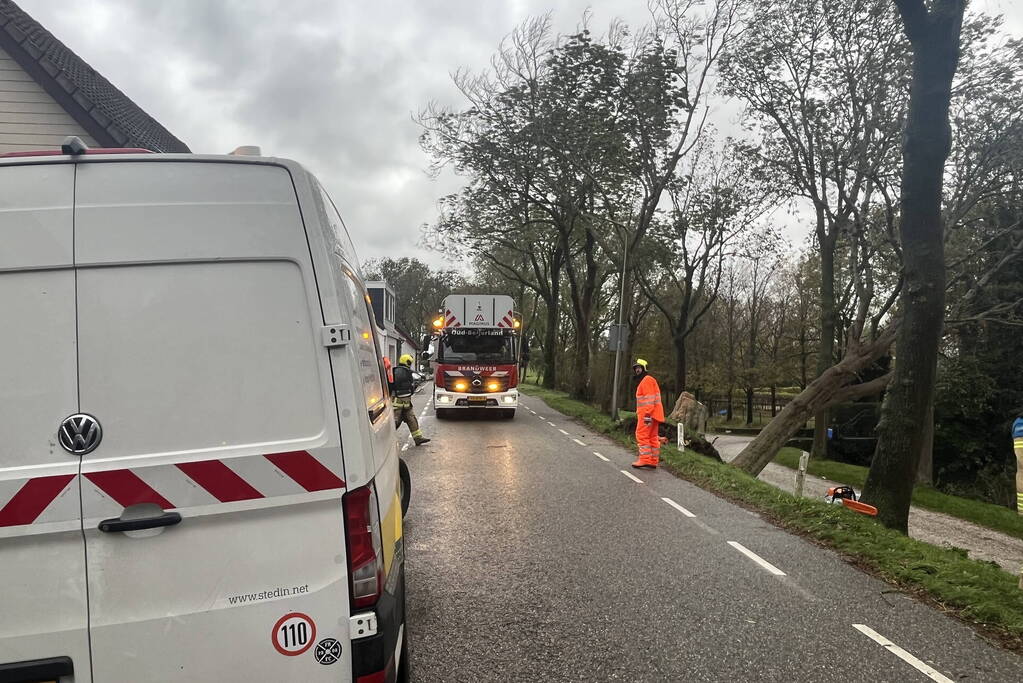 Gasleiding geraakt door omgevallen boom