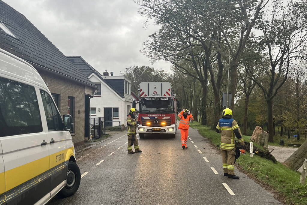 Gasleiding geraakt door omgevallen boom