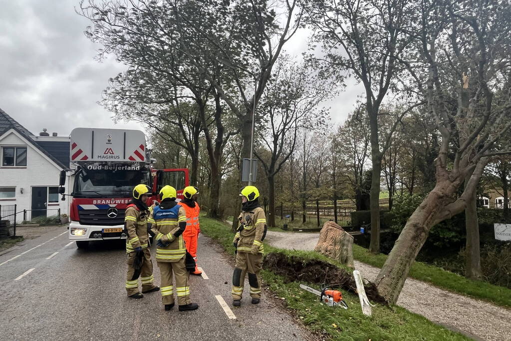 Gasleiding geraakt door omgevallen boom