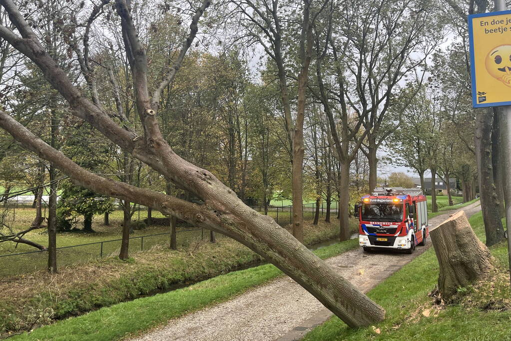 Gasleiding geraakt door omgevallen boom