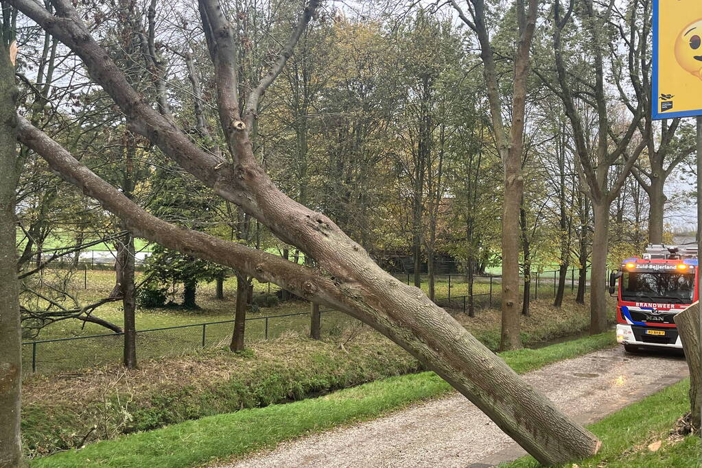 Gasleiding geraakt door omgevallen boom