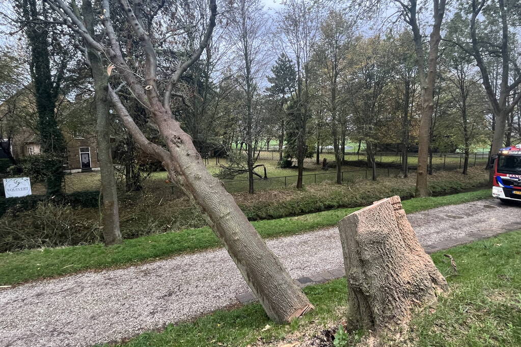 Gasleiding geraakt door omgevallen boom