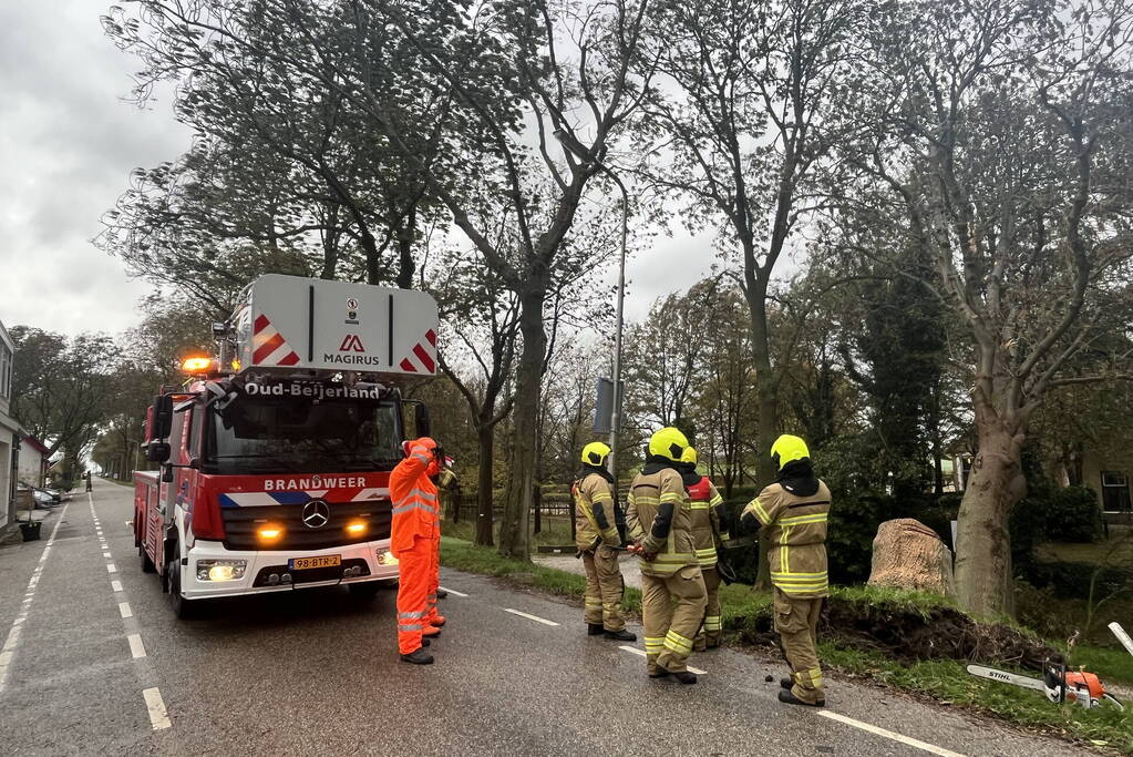 Gasleiding geraakt door omgevallen boom