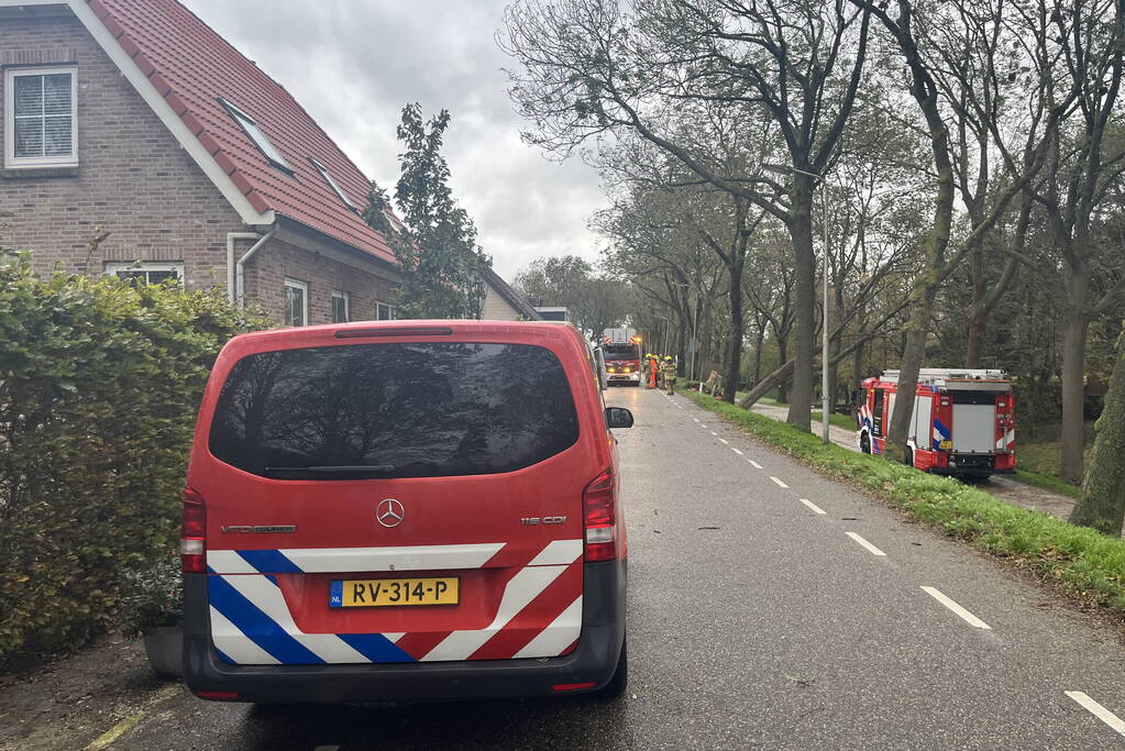 Gasleiding geraakt door omgevallen boom