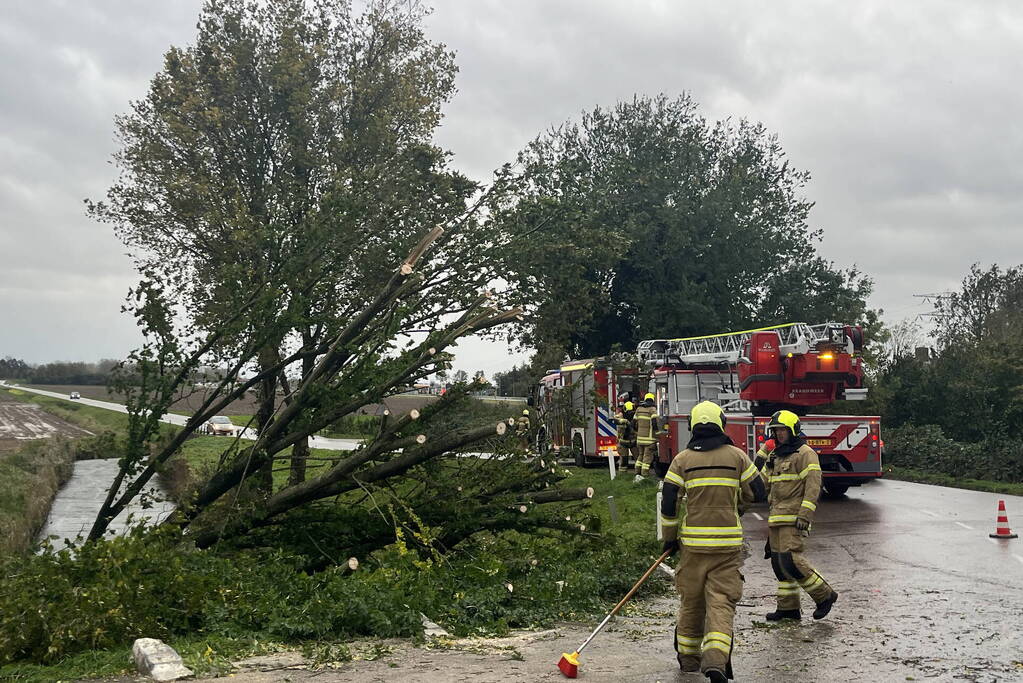 Brandweer verwijdert boom van weg