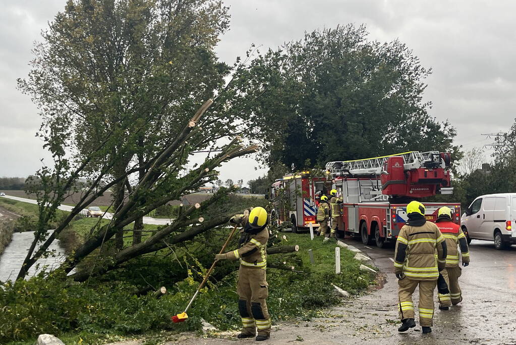 Brandweer verwijdert boom van weg