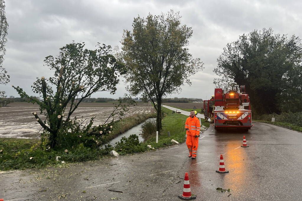 Brandweer verwijdert boom van weg