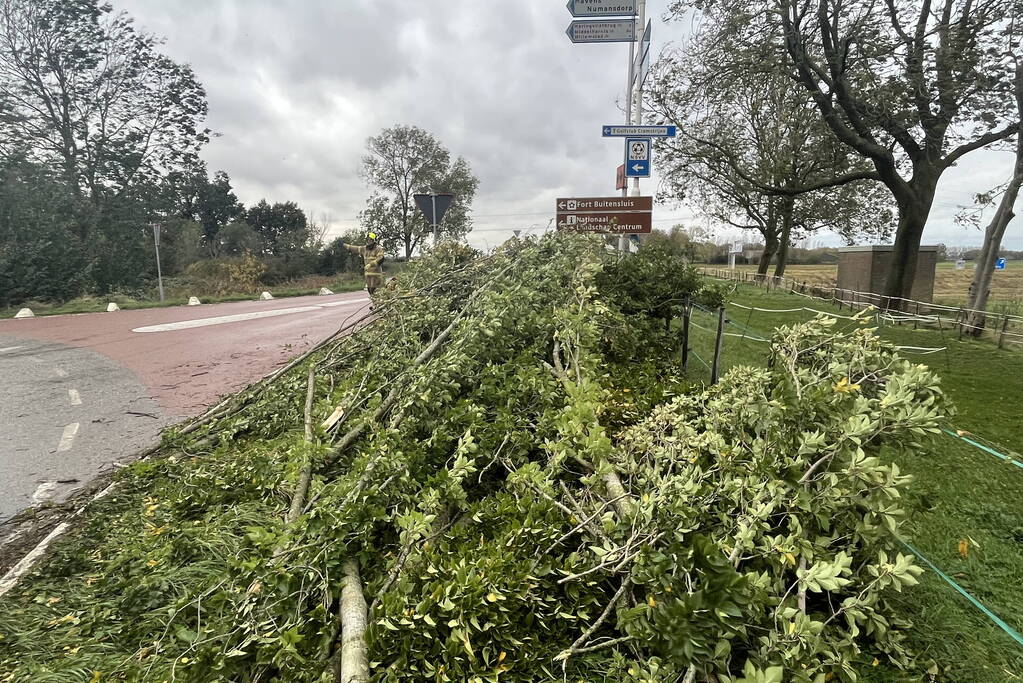 Brandweer verwijdert boom van weg